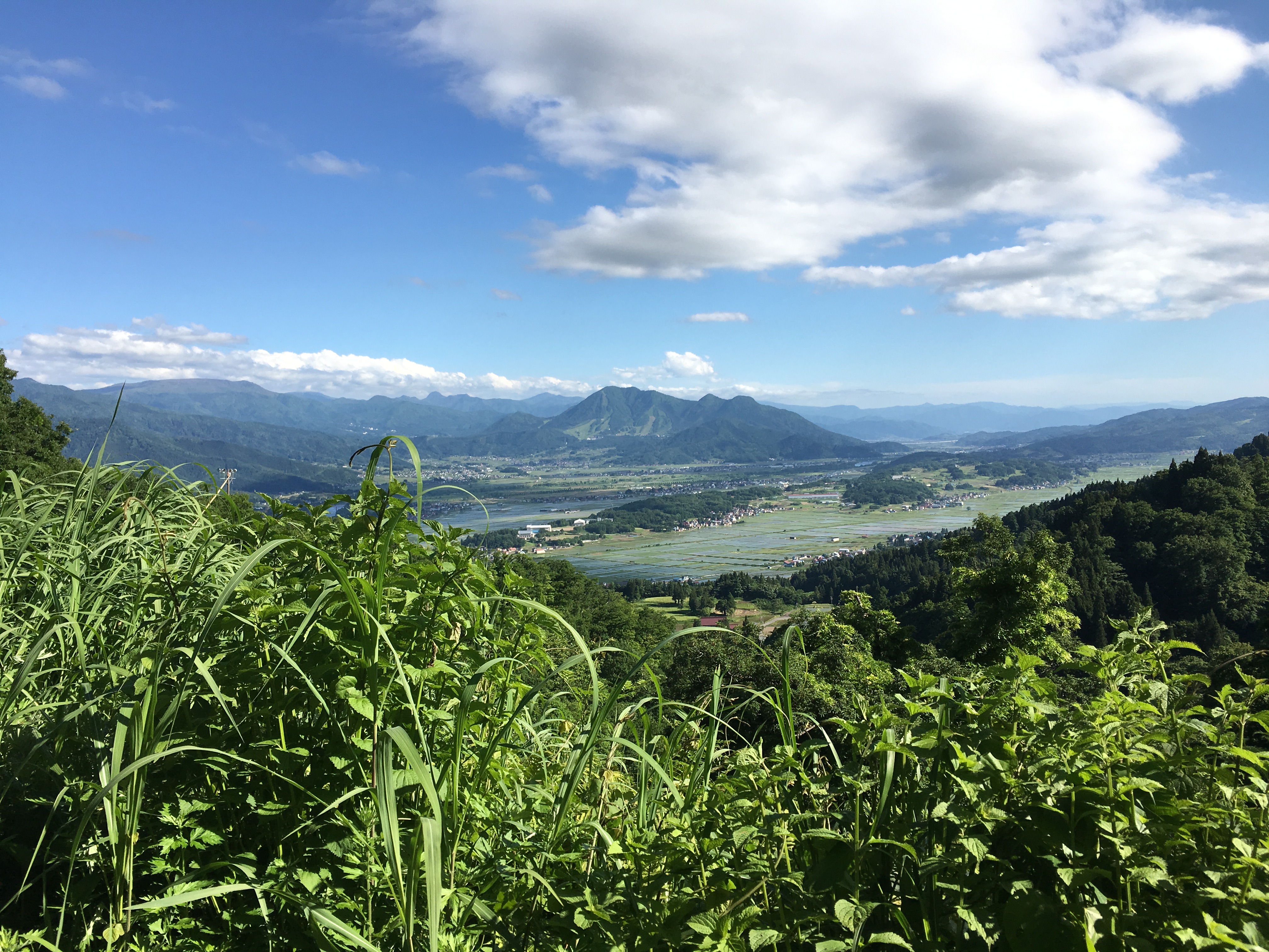 初夏の開田峠