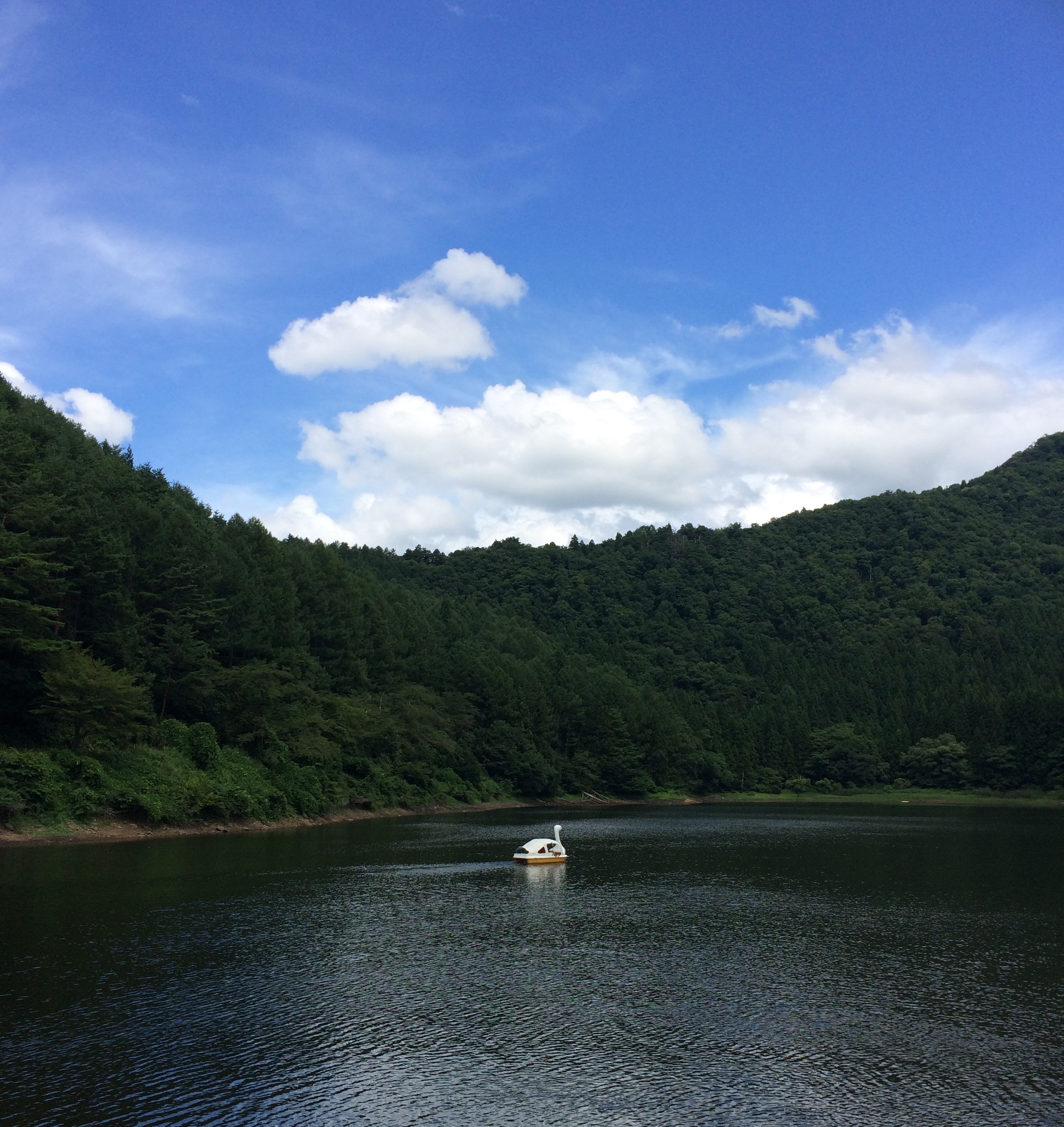 夏の北竜湖