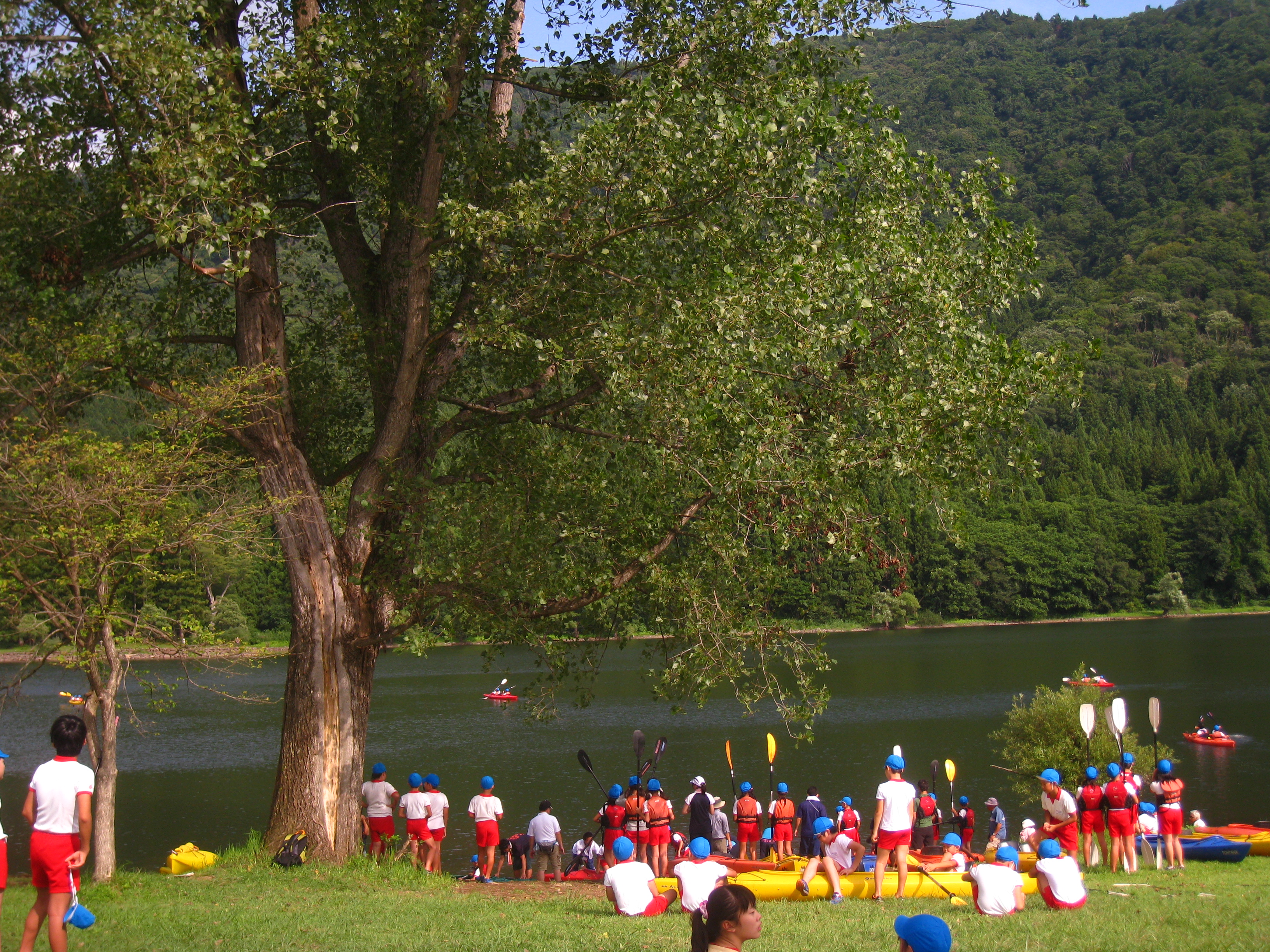 夏の北竜湖