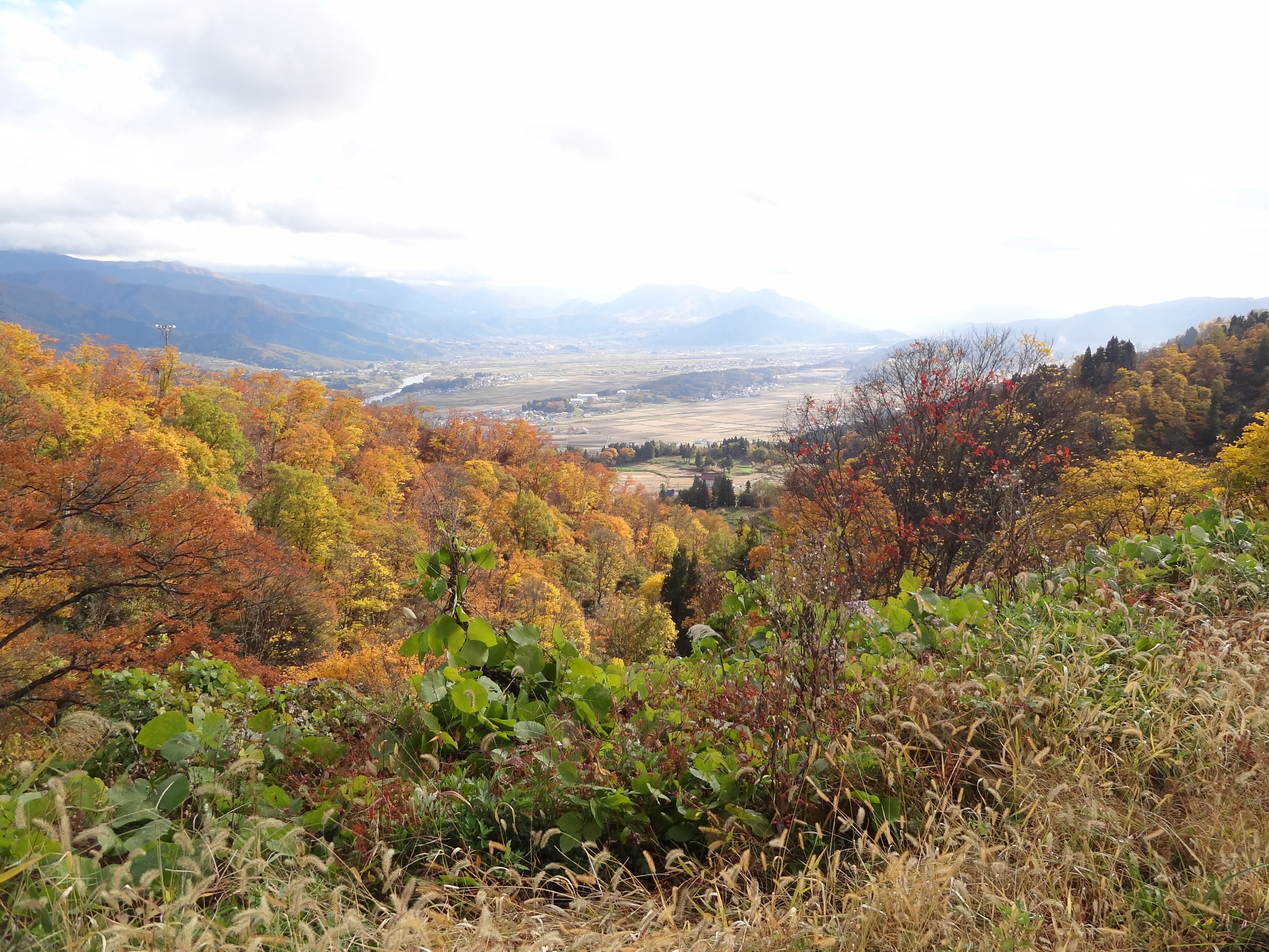 紅葉の開田峠