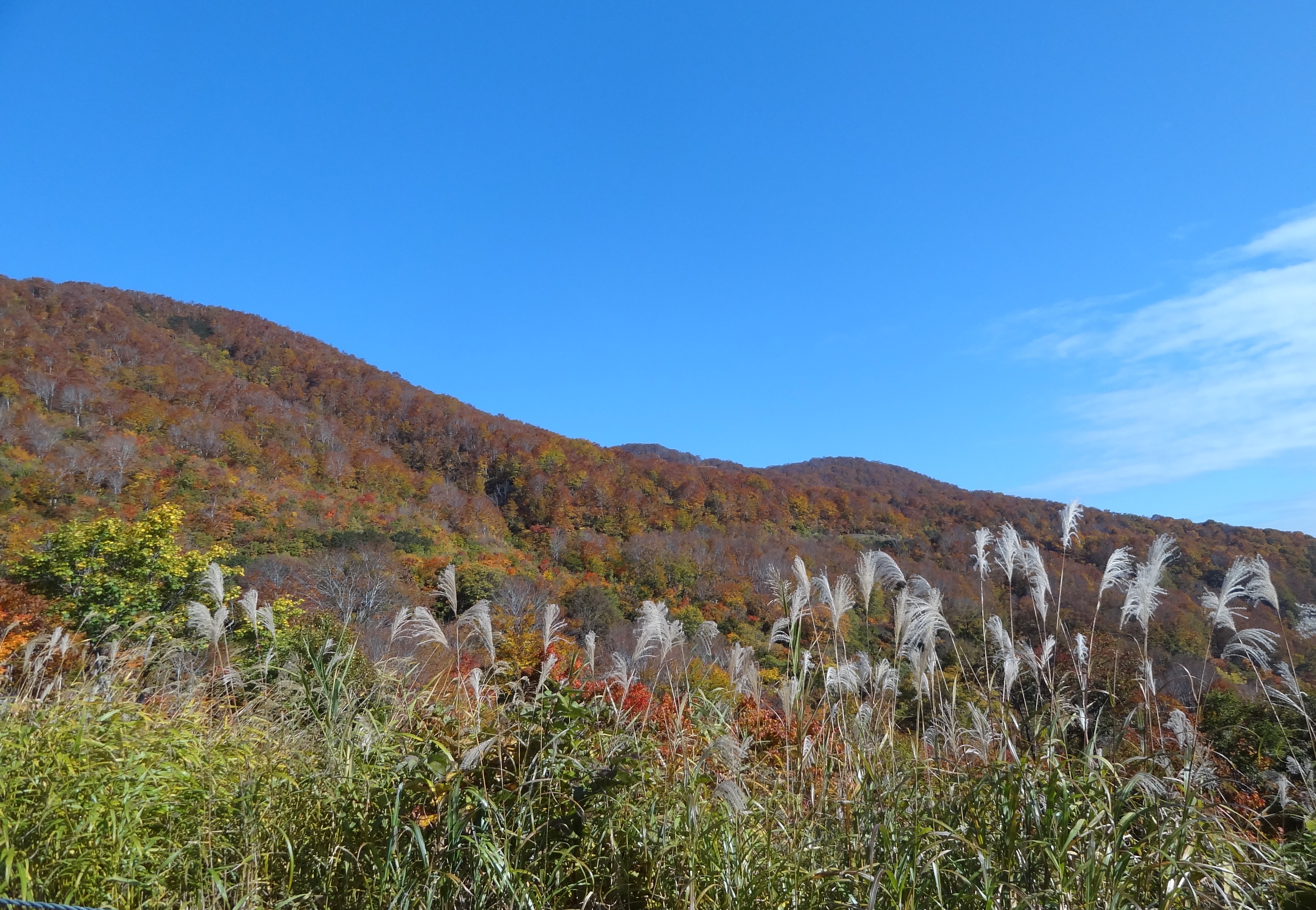 紅葉の開田峠